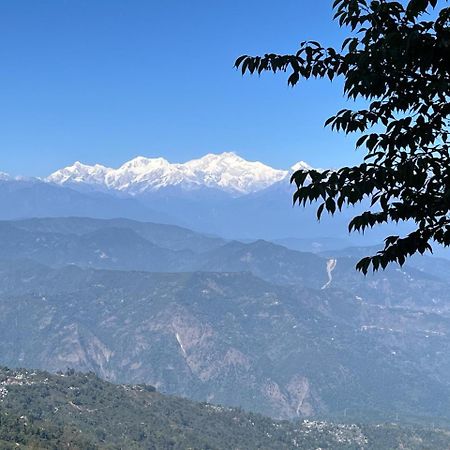 Forest Lodge - 80 Mts From Mall Road Darjeeling  Exterior foto